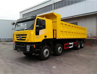 Brand new genlyon 12 wheel dump truck 