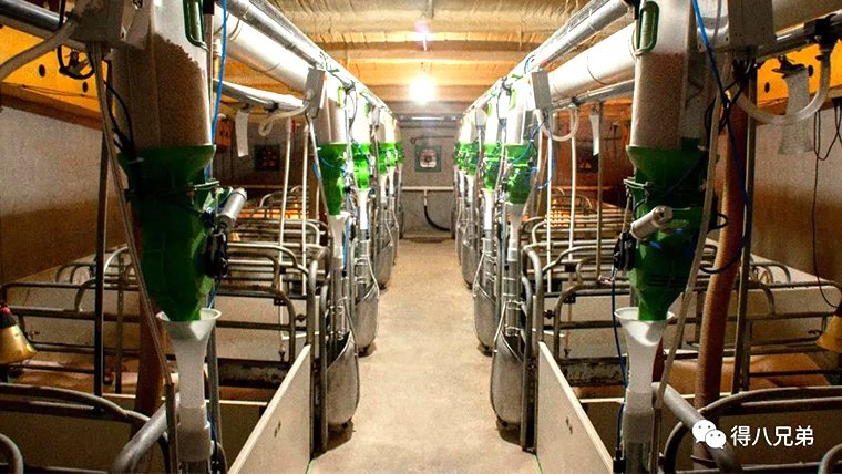 The Deba Brother × Anshan Materneo Automatic Feeding Line Project