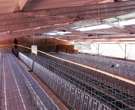 Custom pig farm project