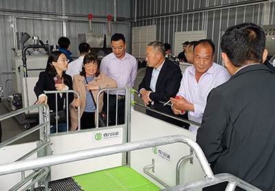 Pig farm owner visited Deba Brothers Rizhao factory for visit and guidance 