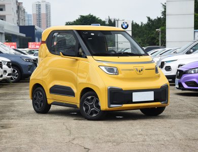 Wuling Nano 305km high power type EV new energy car 
