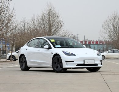 Tesla Model3 High Performance 675km Electrick Car