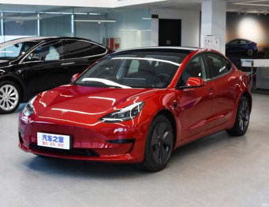 Tesla Model 3 Performance New Energy Electric Car 
