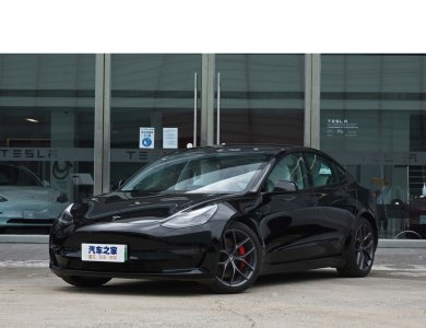 Tesla Model 3 New Energy Electric Car