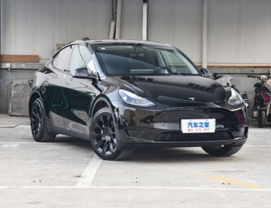 Tesla Model Y New Energy Electric Car 