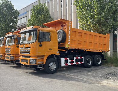 Brand New Shacman Algérie F3000 10 Wheel Dump Truck