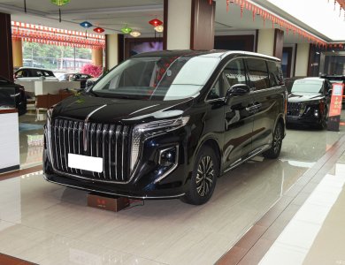 Hongqi hQ9 PHEV 2024 2.0T Four-wheel drive Business Electric car