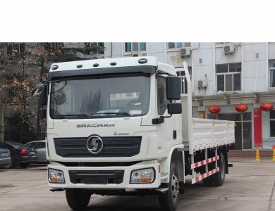 SHACMAN 4x2 L3000 5t Lorry Truck for Algeria