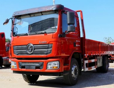 SHACMAN 210hp 4x2 Cargo Truck for Algeria