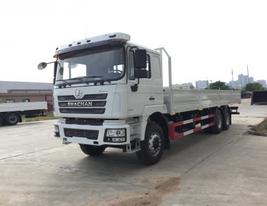 Algeria Shacman F3000 6x4 Cargo Truck for sale