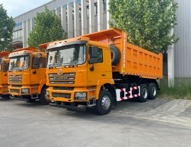 Algeria F3000 6x4 340HP Dump Truck for sale