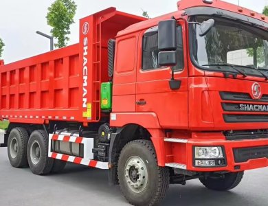 SHACMAN 10 Wheeler 380hp Dump Truck Algeria Hot Selling 