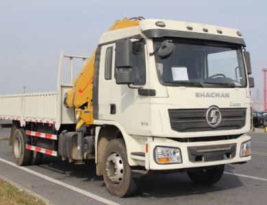 Algeria L3000 Crane truck for sale