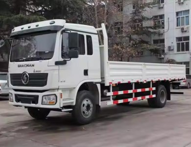 SHACMAN D-Long L3000 4x2 210hp Normal Cargo Truck 