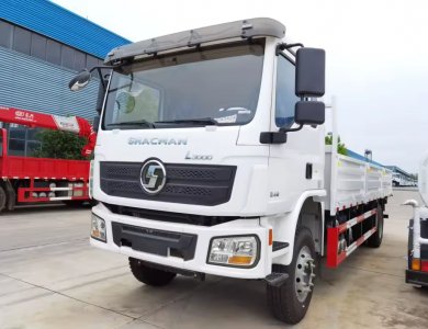 ALGERIA MARKET SHACMAN D-Long L3000 4x2 210hp Normal Cargo Truck 