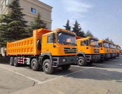 Guinea Market SHACMAN F3000 8×4 Dump Truck