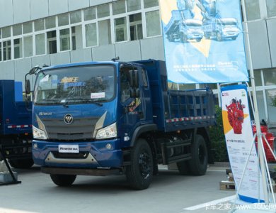 Hot sale FOTON ROWOR JIN GANG KING 4X2 170HP Dump truck