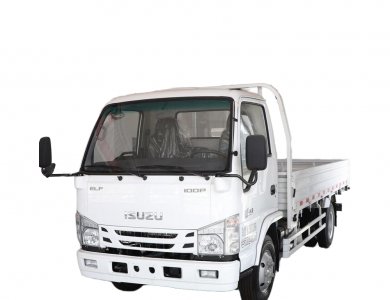 ISUZU 100P 130HP 4X2 Cargo Truck hot sale