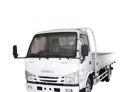 ISUZU 100P 130HP 4X2 Cargo Truck hot sale