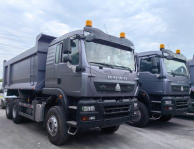 HOWO TX 380hp 10 Wheels Tipper Dump Truck in Algeria