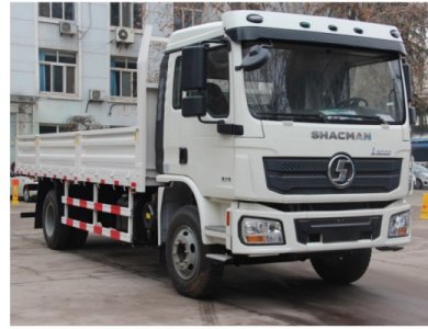 SHACMAN L3000 Algeria 4x2 210hp 5t Cargo Lorry Truck for Sale