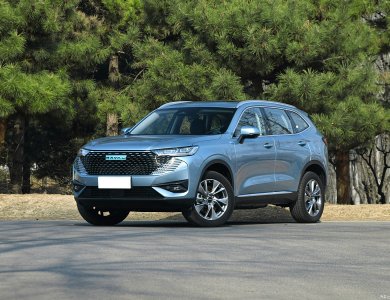 Hot sale HAVAL H6 DHT-PHEV 110km for sale