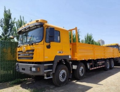 SHACMAN F3000 8x4 40t Cargo Truck for Sale