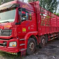 Pioneering the Fast Lane: A Deep Dive into the Shacman X3000 Rigid Truck for Express Logistics