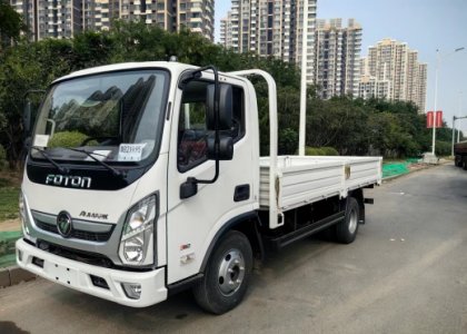 FOTON Aumark E 4x2 3t RHD Flatbed Cargo Truck for Sale