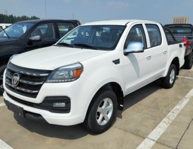 FOTON TUNLAND E Gasoline Engine LHD 4x4 Pickup for Sale
