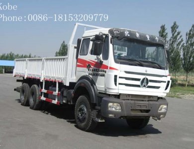 Beiben 6x4 Cargo Truck