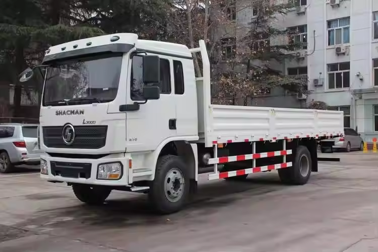 SHACMAN D-Long L3000 4x2 210hp Normal Cargo Truck 