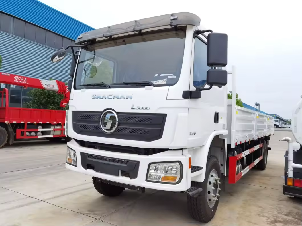 ALGERIA MARKET SHACMAN D-Long L3000 4x2 210hp Normal Cargo Truck 