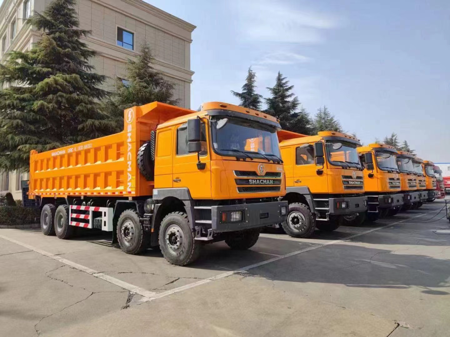 Guinea Market SHACMAN F3000 8×4 Dump Truck