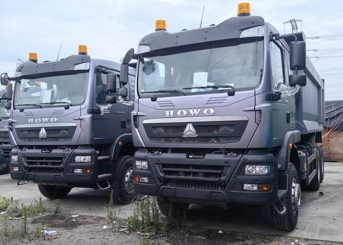 HOWO TX 10 Wheels Algeria Hot Selling Tipper Truck for Sale (4)