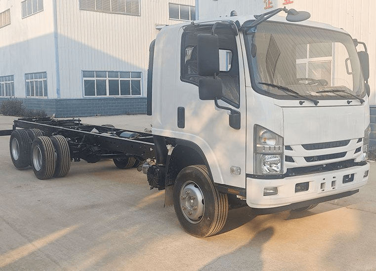 Algeria Market hot sale ISUZU 700P 4X2 Cargo truck chassis