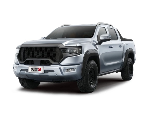 FOTON Mars V9 4x4 Diesel Pickup for Sale