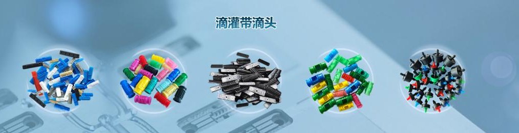 图片7