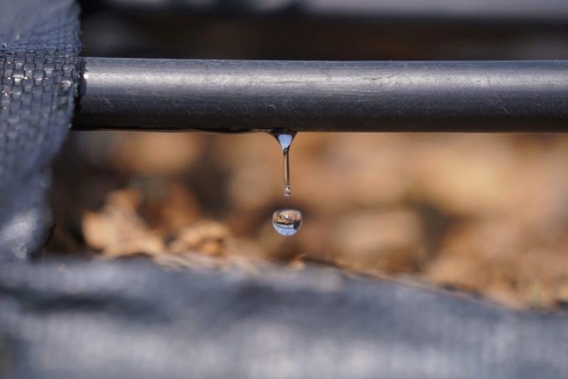 drip irrigation