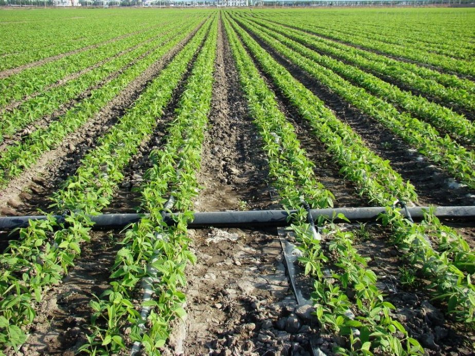 Farmland irrigation