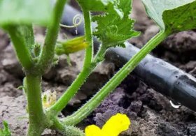 What are the benefits of drip irrigation equipment?