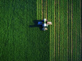 farmland